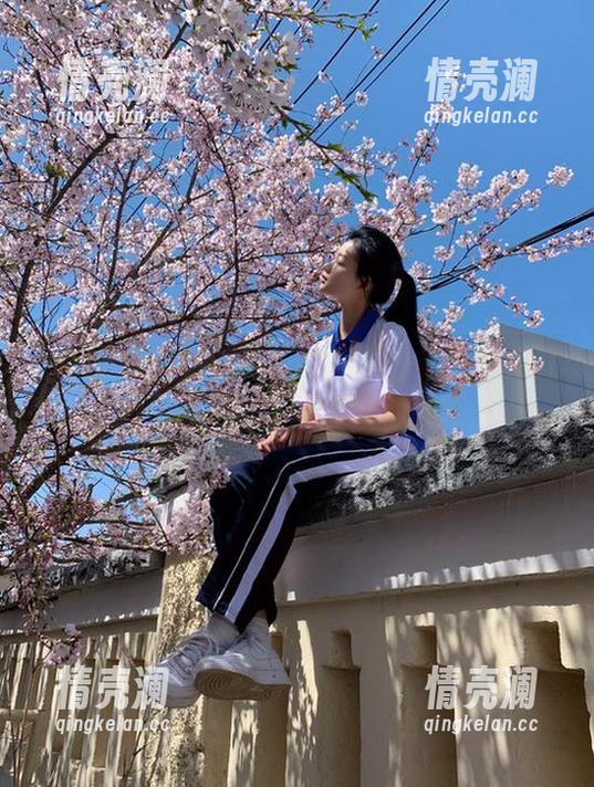 tttzzz.su官网新一期黑料入口，抛开彩虹，真相总是刺眼