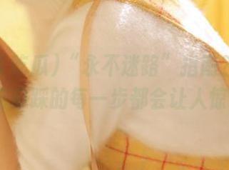“永不迷路”指南？在九色91吃瓜踩的每一步都会让人惊叹！