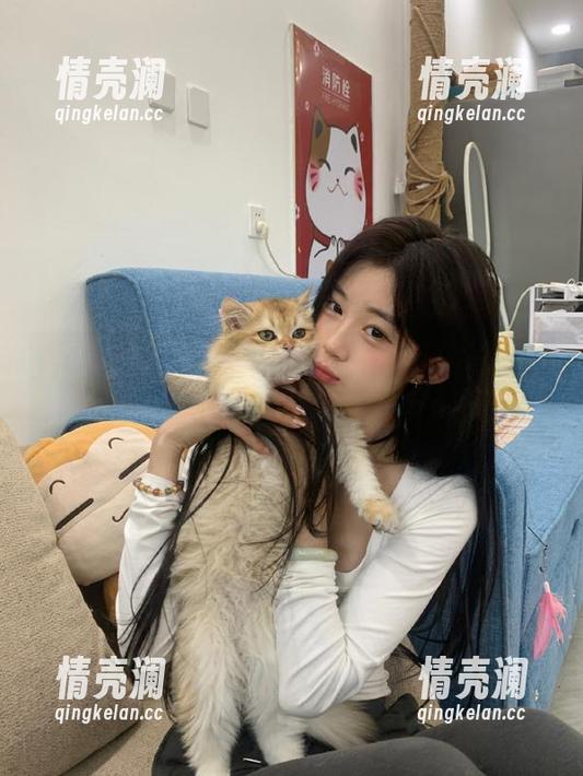 黑料社区 黑料社区视频:官网的谣言和瓜果,就像秋天的白菜,一捧一把的!