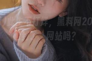 此生不打烊，黑料网2025的心意到了，网站吗？
