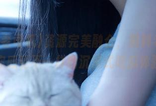 资源完美融合，黑料老司机带你感受不一样的沉浸式吃瓜体验！